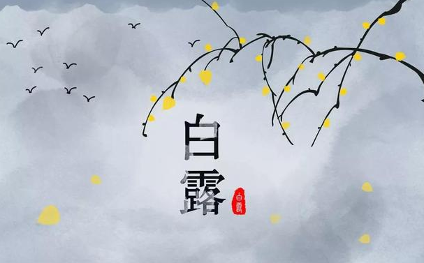 今迎白露，盛夏退場(chǎng)-普樂(lè)斯等離子清洗機(jī)
