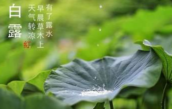 今迎白露，盛夏退場(chǎng)-普樂(lè)斯等離子清洗機(jī)
